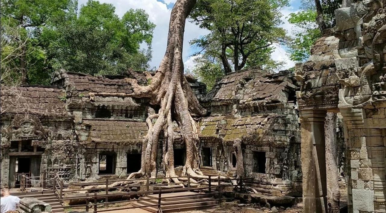 The Palmery Siem Reap Extérieur photo
