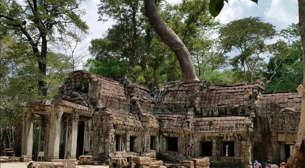 The Palmery Siem Reap Extérieur photo